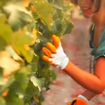 Vineyard - Over 14 Years Old Only Bed & Breakfast Datca