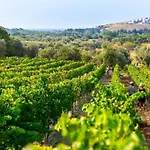 Vineyard - Over 14 Years Old Only Bed & Breakfast 4*