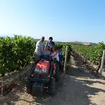 Vineyard - Over 14 Years Old Only Bed & Breakfast