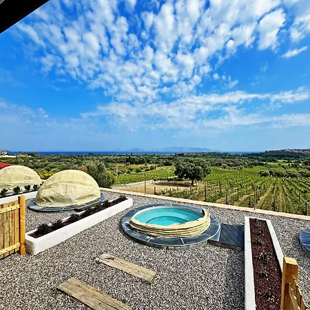 Vineyard - Over 14 Years Old Only Datca