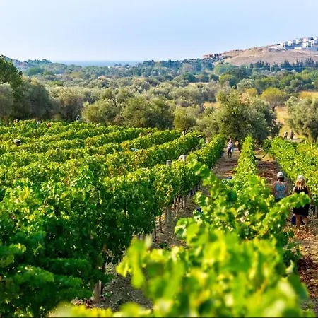 Vineyard - Over 14 Years Old Only Bed & Breakfast 4*