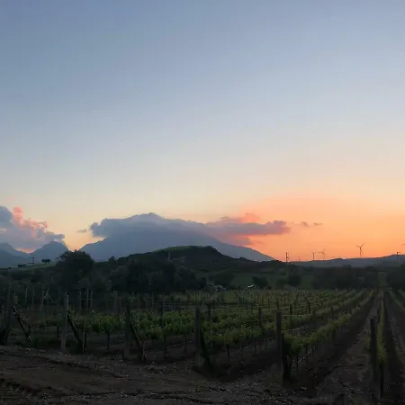 Bed & Breakfast Vineyard - Over 14 Years Old Only